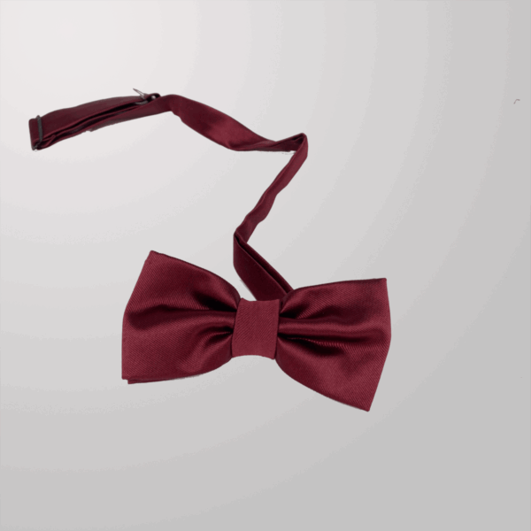 פפיון לגבר בורדו