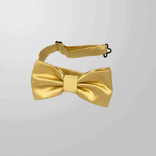 פפיון לגבר זהב