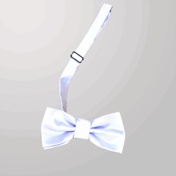 פפיון לגבר לילך