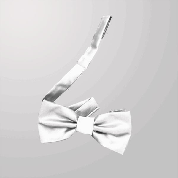 פפיון לגבר אפור בהיר